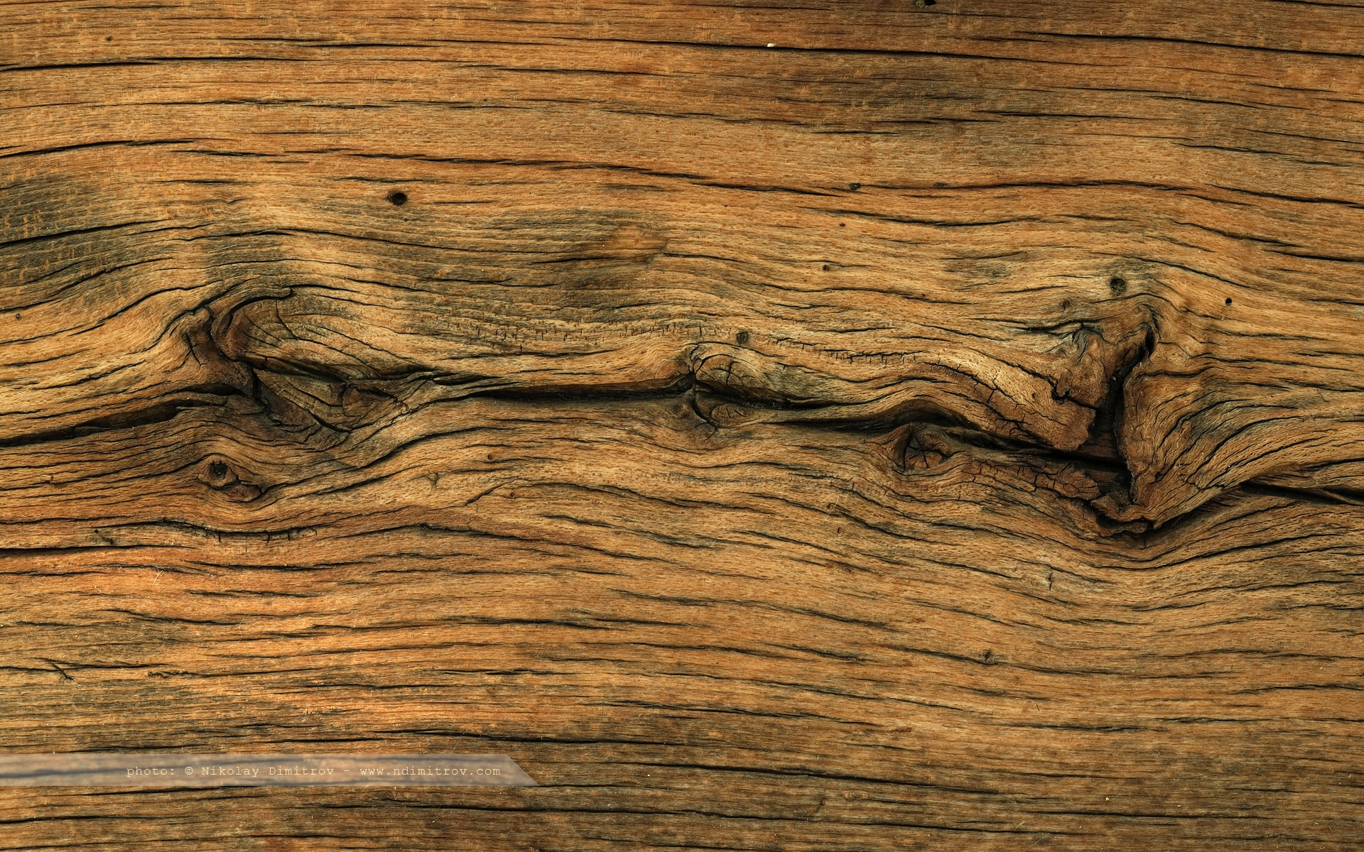 holz wallpaper,wood,brown,wood flooring,wood stain,hardwood