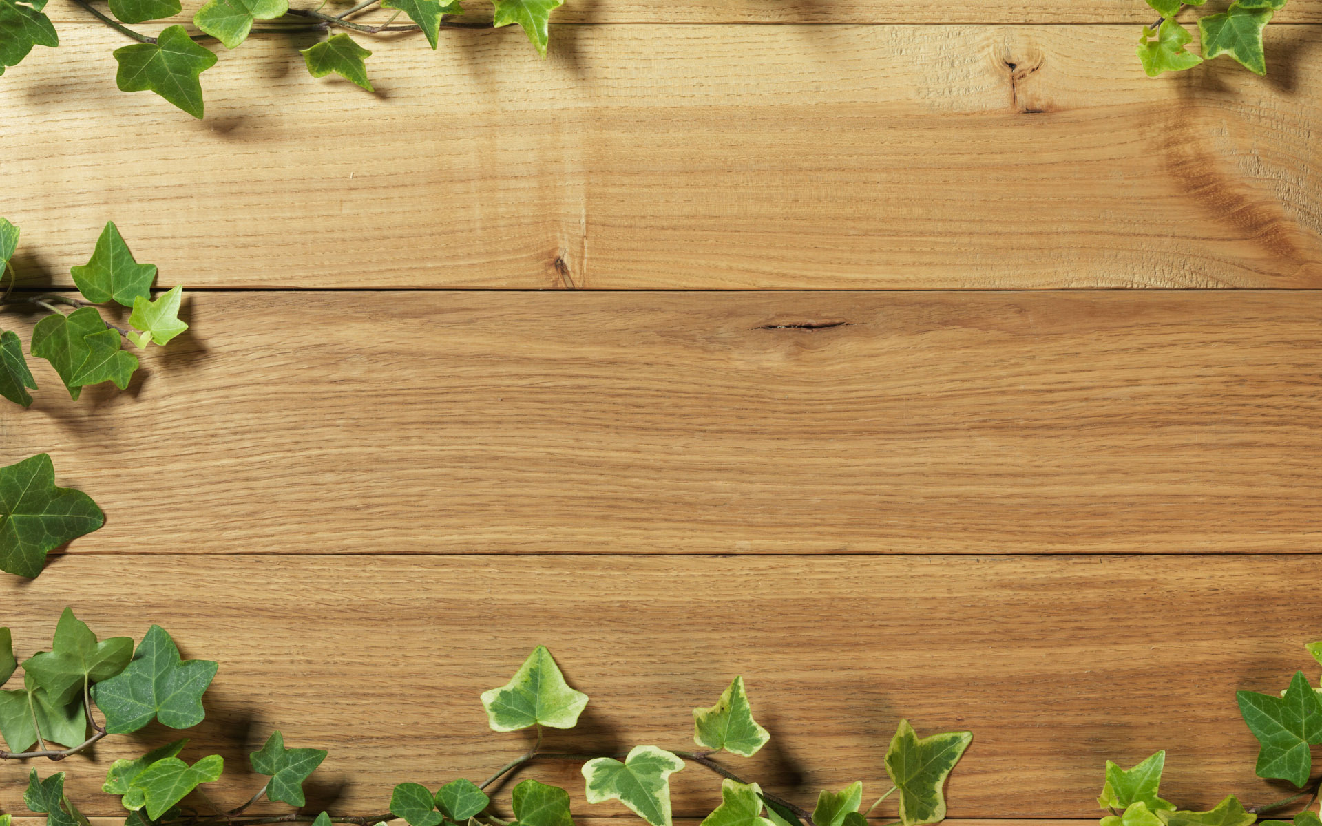 holz wallpaper,leaf,hardwood,wood,wood flooring,laminate flooring