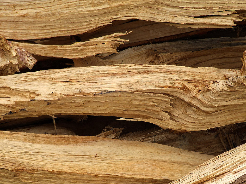 carta da parati holz,legna,formazione,legname,legno duro,albero