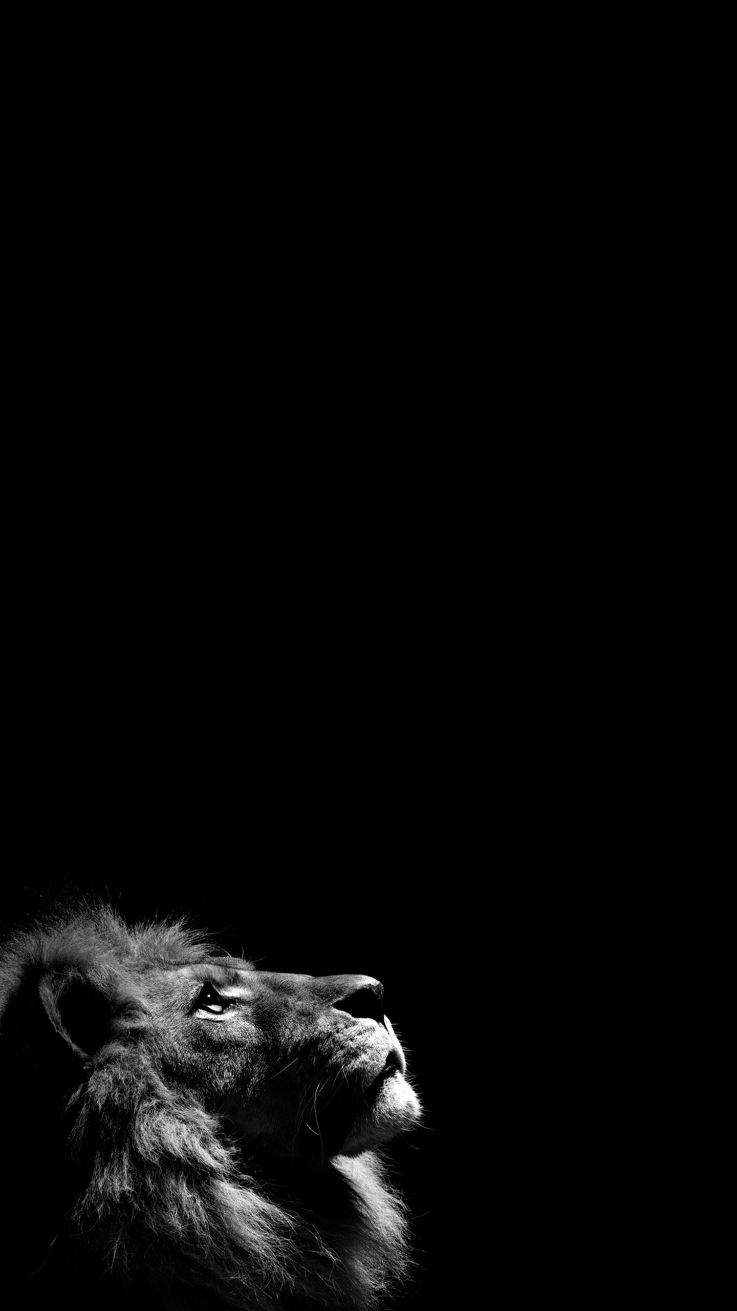 amoled screen wallpaper,black,white,black and white,monochrome photography,darkness