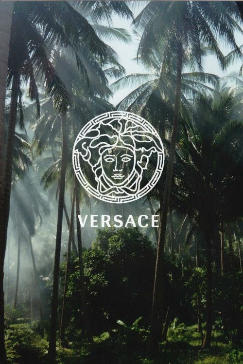 versace wallpaper iphone,natural environment,tree,plant,jungle,forest