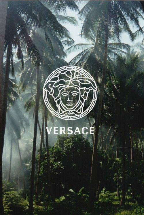 versace wallpaper iphone,baum,pflanze,urwald,wald,regenwald