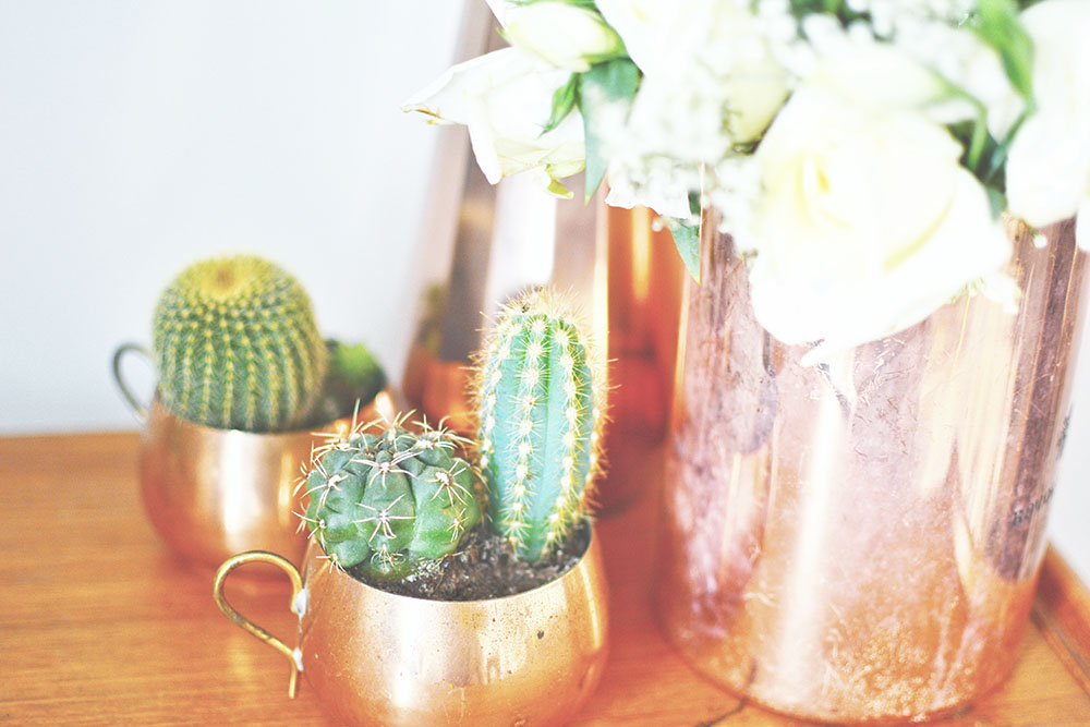 carta da parati rosa e rame,cactus,vaso di fiori,pianta della casa,fiore,pianta