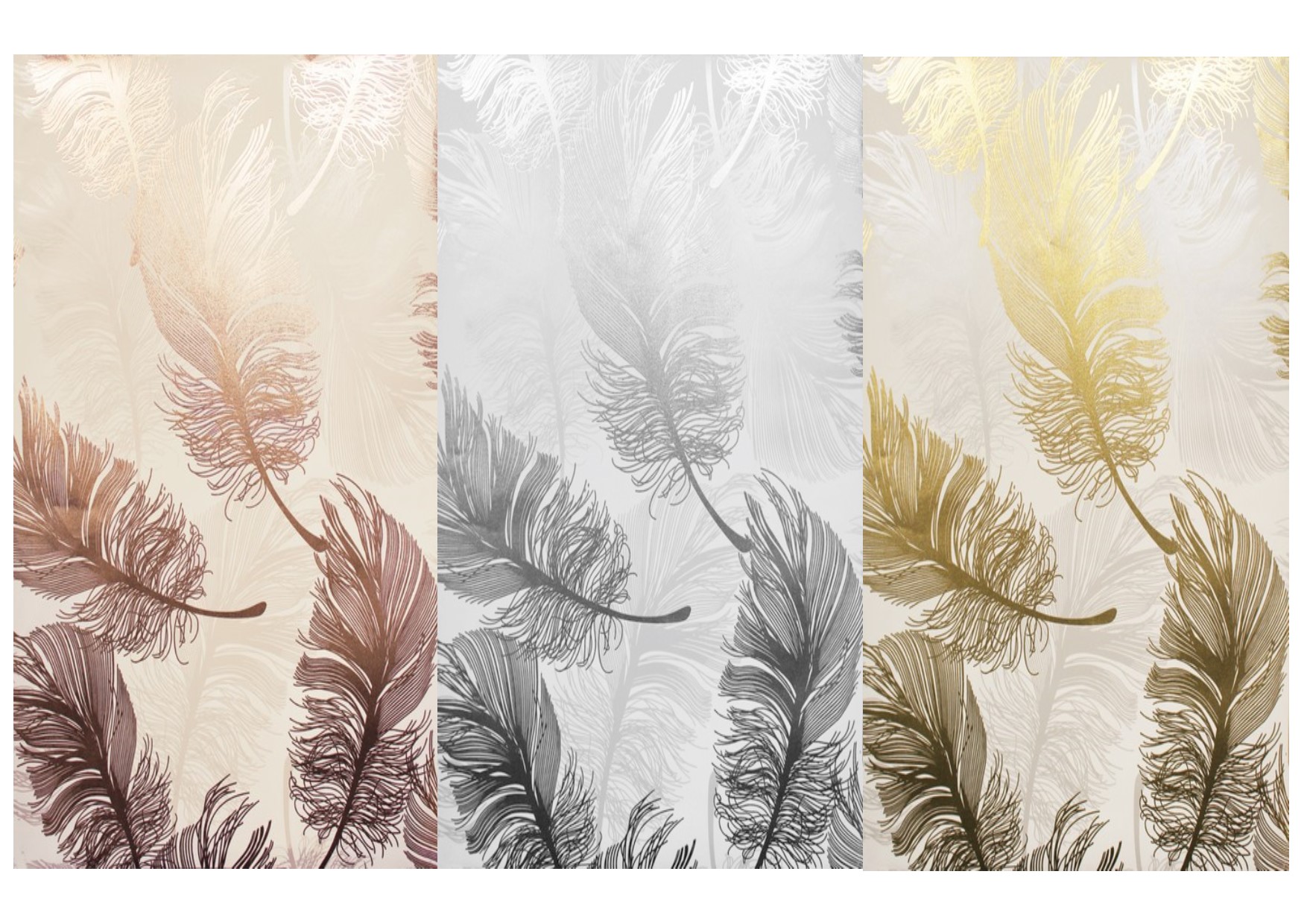 papel pintado de plumas de plata,hoja,cortina de la ducha,pluma,planta,familia de la hierba