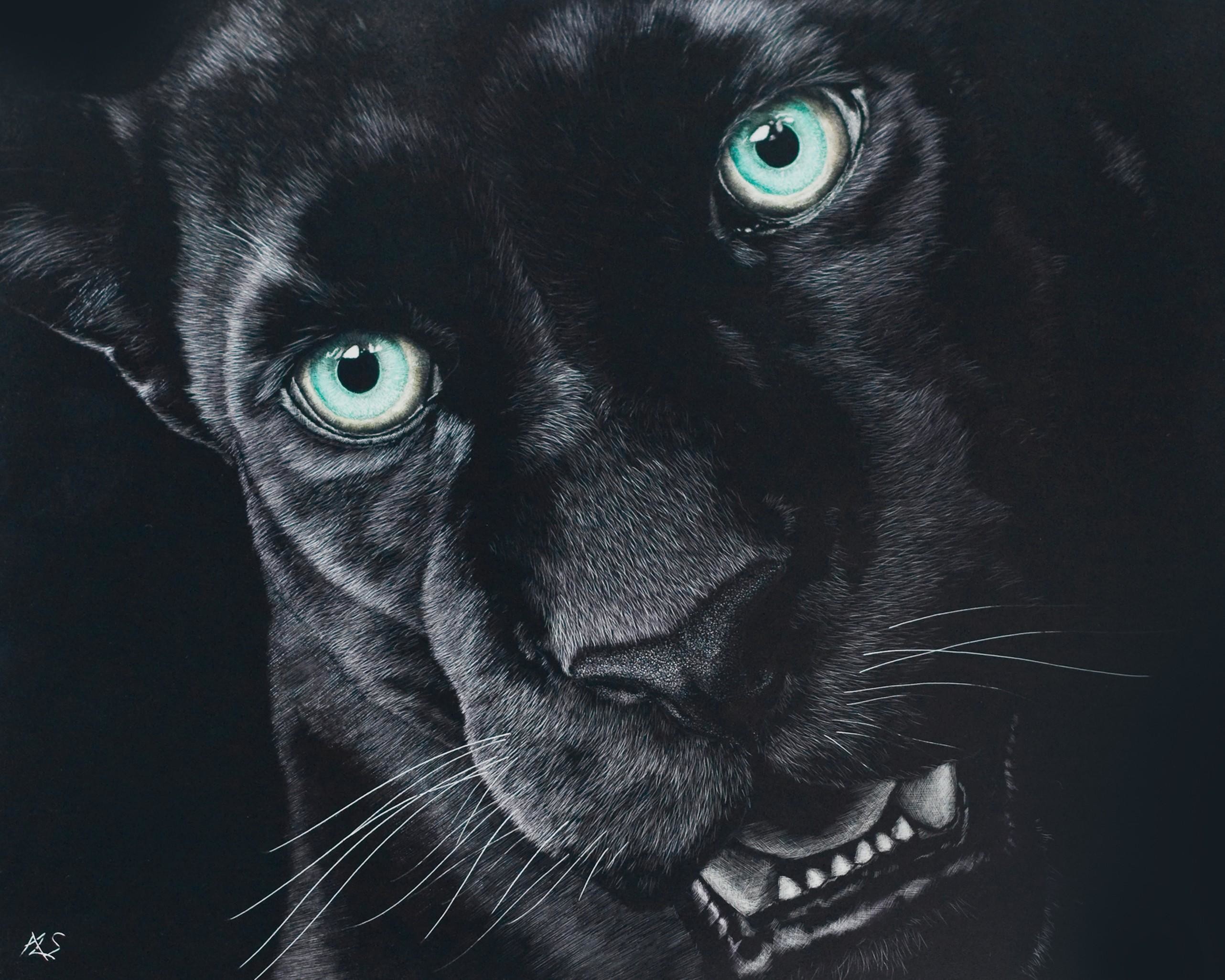 黒ジャガーのhdの壁紙,黒猫,ネコ科,黒,ひげ,ネコ