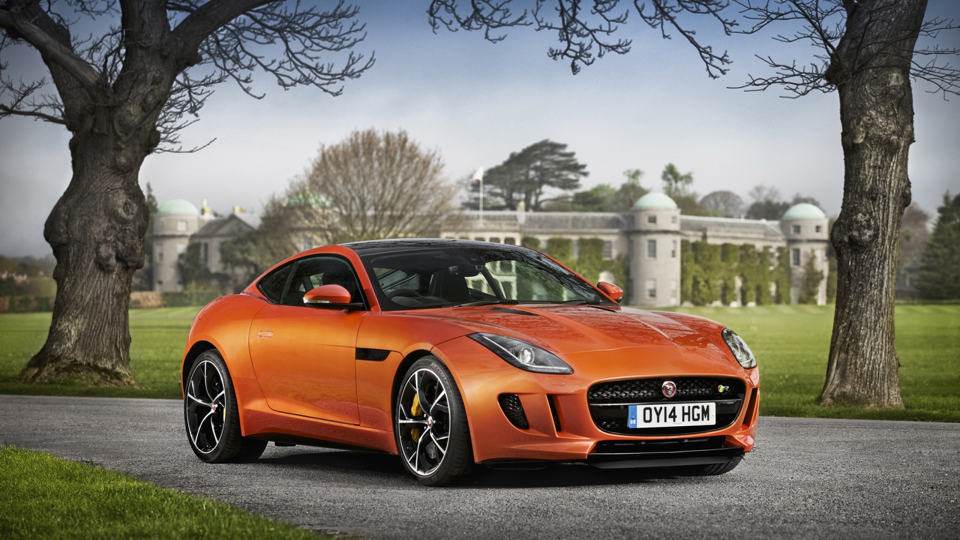 jaguar f type hd wallpaper,land vehicle,vehicle,car,automotive design,performance car