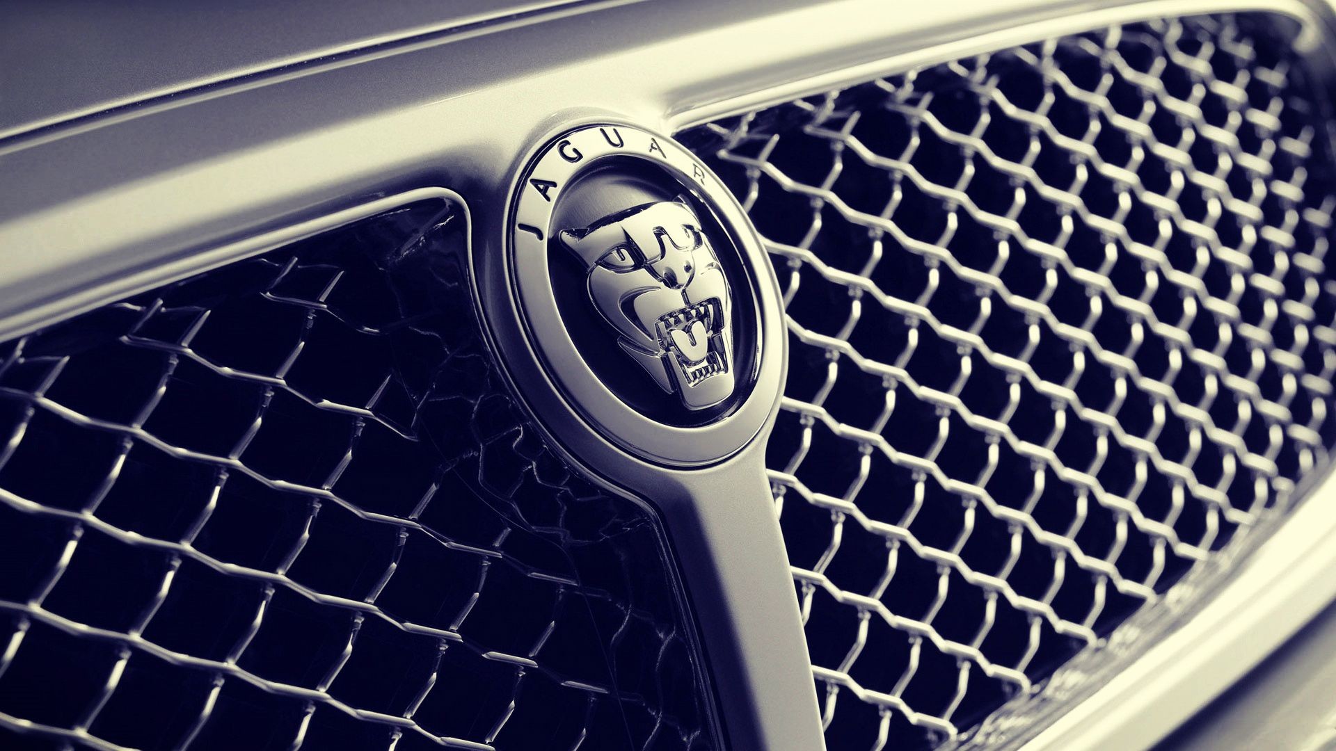 jaguar auto logo hd wallpaper,landfahrzeug,fahrzeug,auto,gitter,luxusfahrzeug