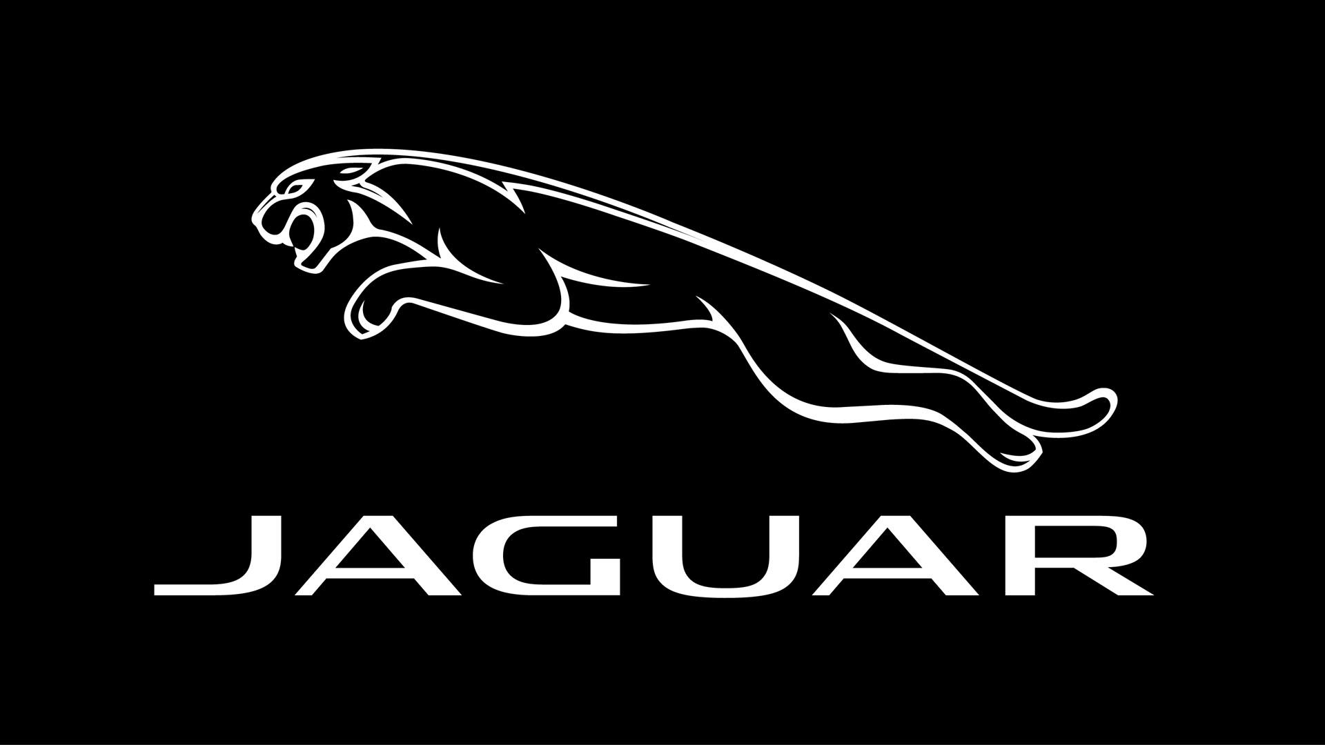 jaguar car logo hd wallpaper,font,grafica,giaguaro