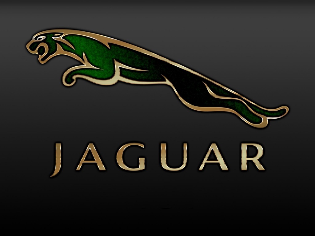 jaguar car logo hd fond d'écran,police de caractère,jaguar,graphique,emblème,jaguar