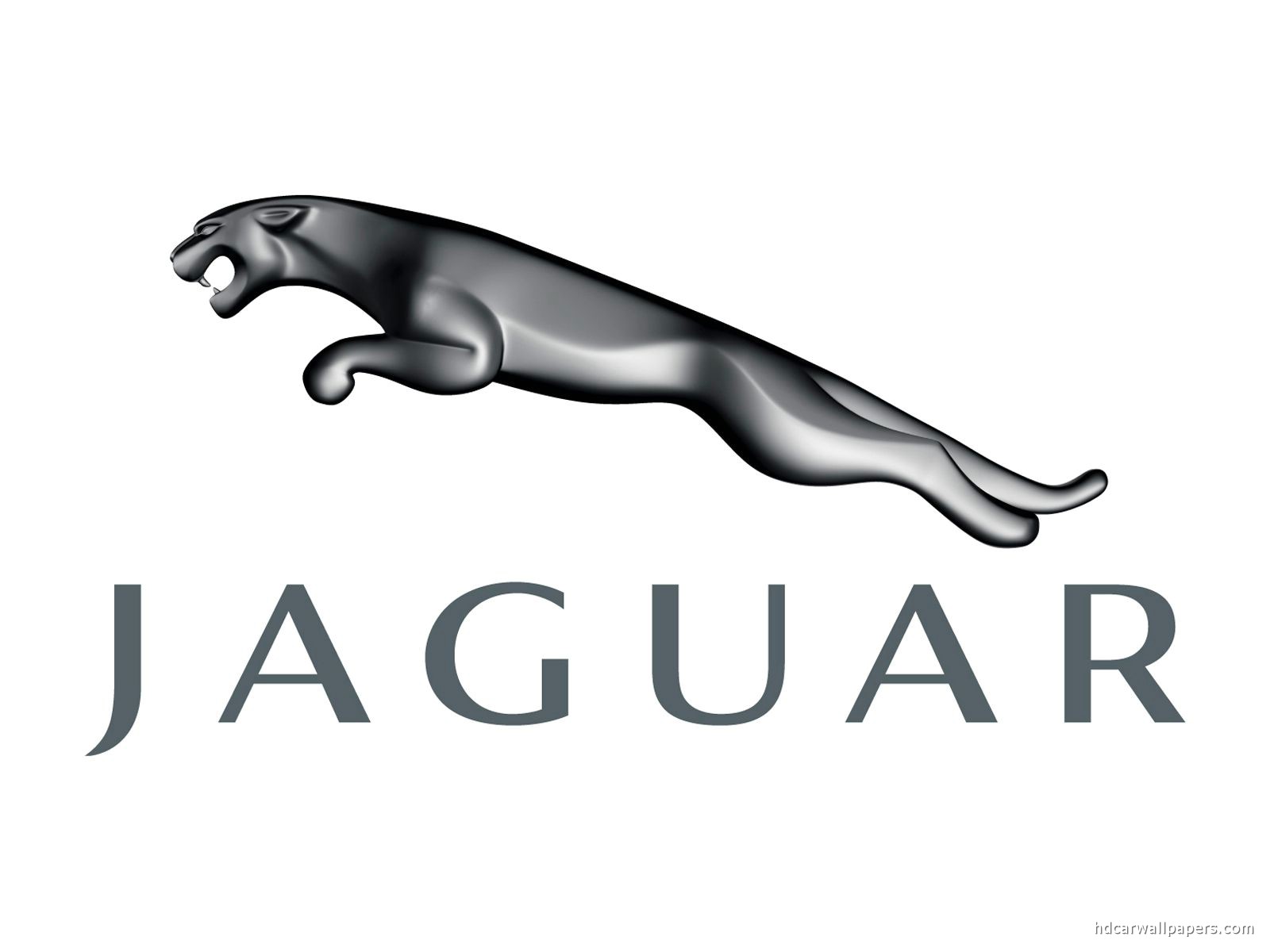 jaguar car logo hd wallpaper,font,giaguaro,felidae,grafica,illustrazione