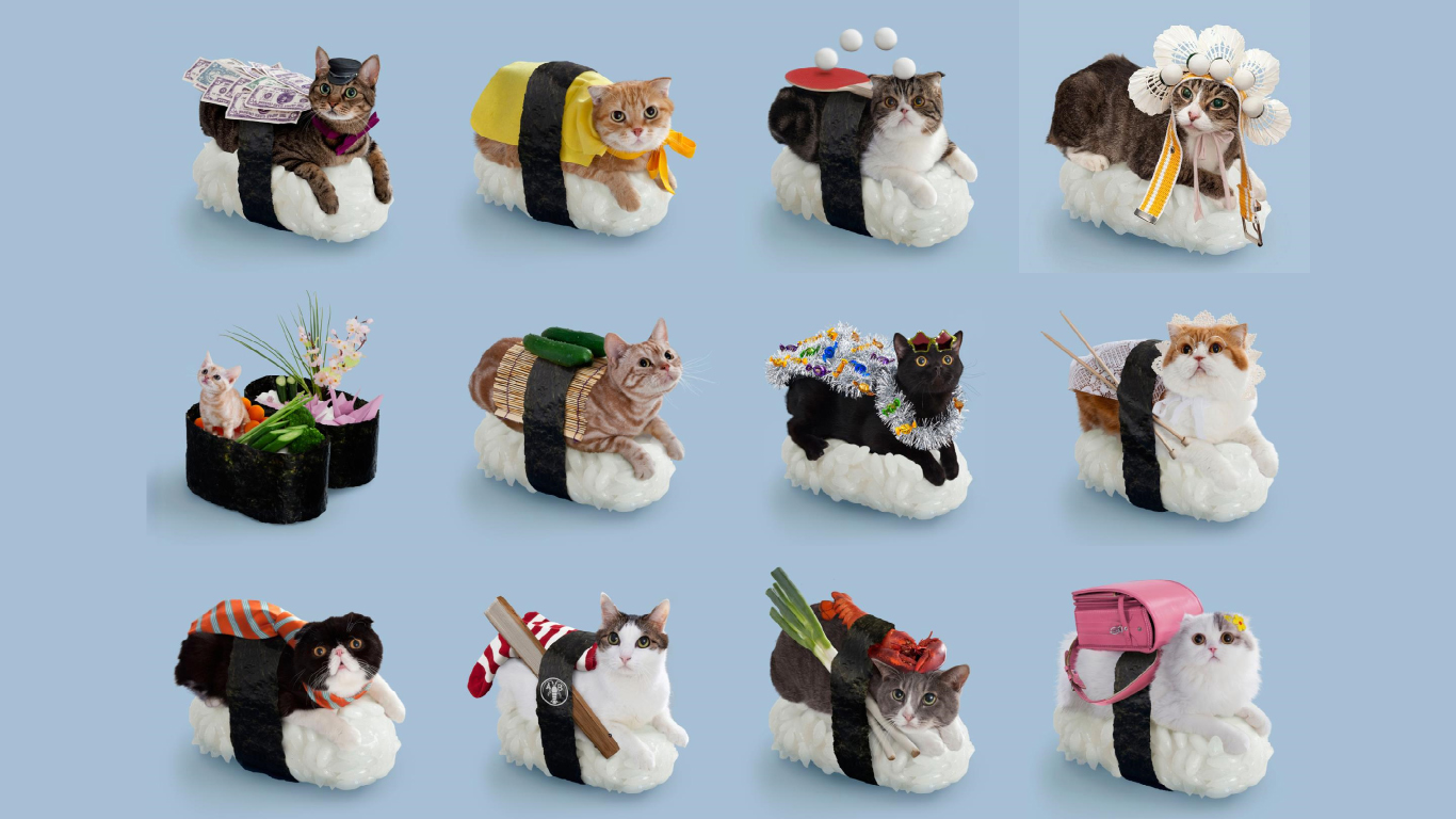 fond d'écran de chat sushi,figure animale,figurine