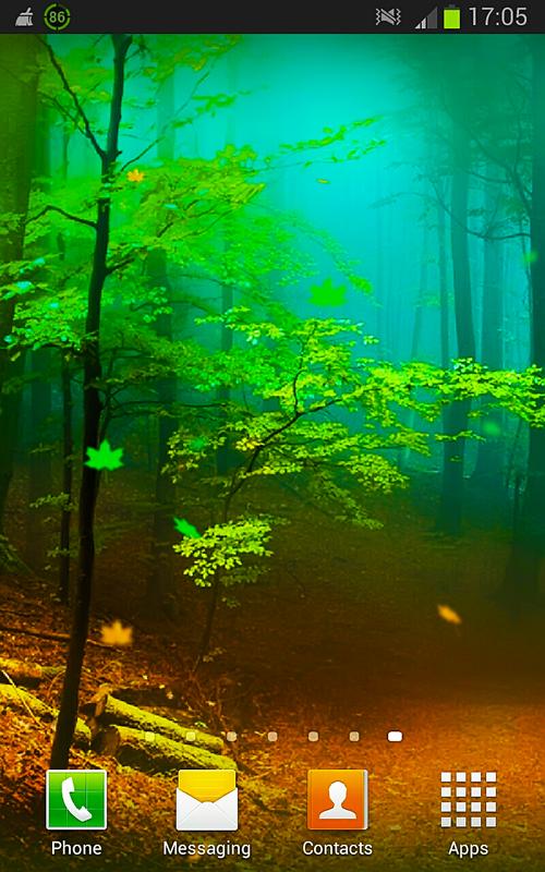 森ライブ壁紙3d,緑,自然,自然の風景,木,森林