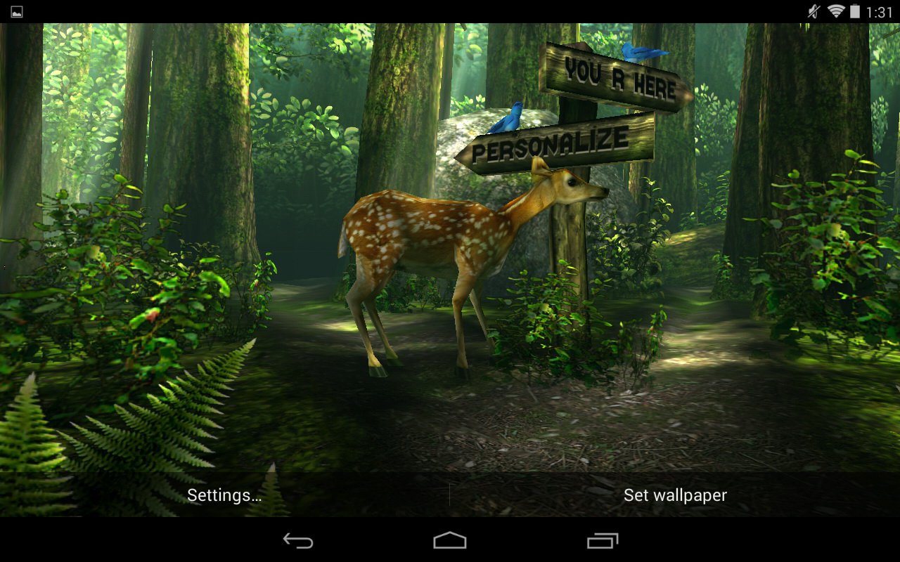 wald live wallpaper 3d,tierwelt,natur,urwald,wald,bildschirmfoto