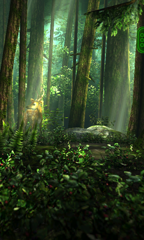 forêt fonds d'écran animés 3d,forêt,forêt ancienne,la nature,paysage naturel,arbre
