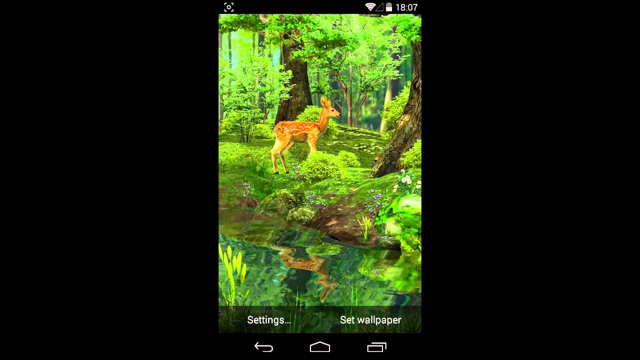 forest live wallpapers 3d,nature,vegetation,green,wildlife,organism