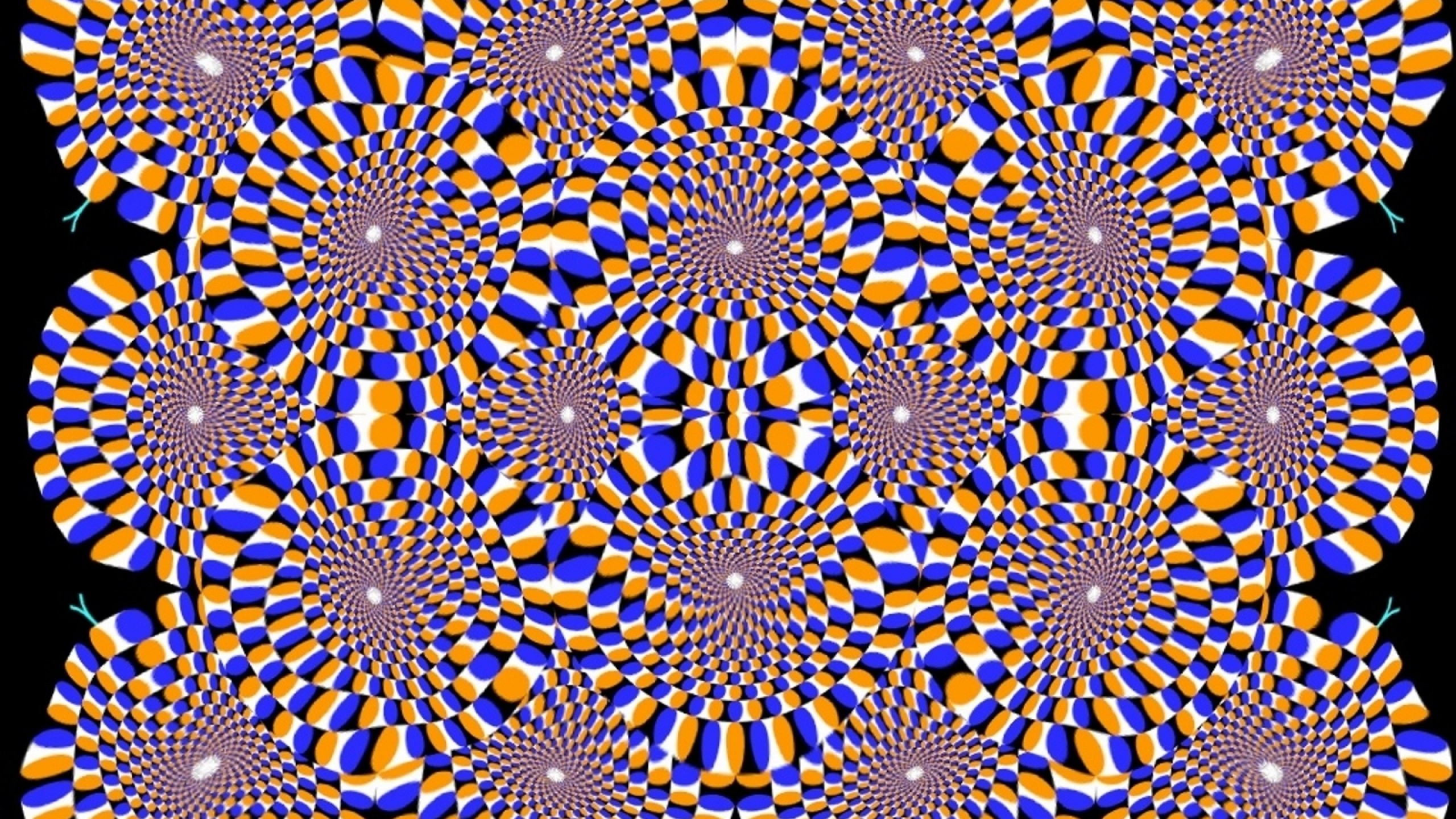 optical illusion wallpaper hd,pattern,textile,symmetry,design,pattern