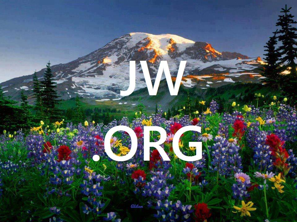 jw wallpaper hd,natural landscape,nature,meadow,wildflower,wilderness