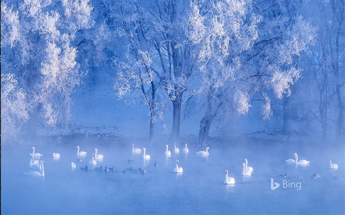 tapete von 2017,blau,himmel,betrachtung,atmosphäre,ruhe