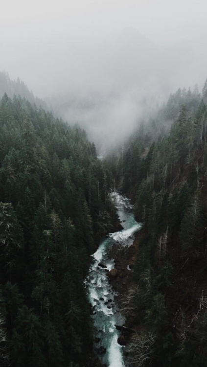 tumblr forest wallpaper,nature,water,atmospheric phenomenon,natural landscape,water resources