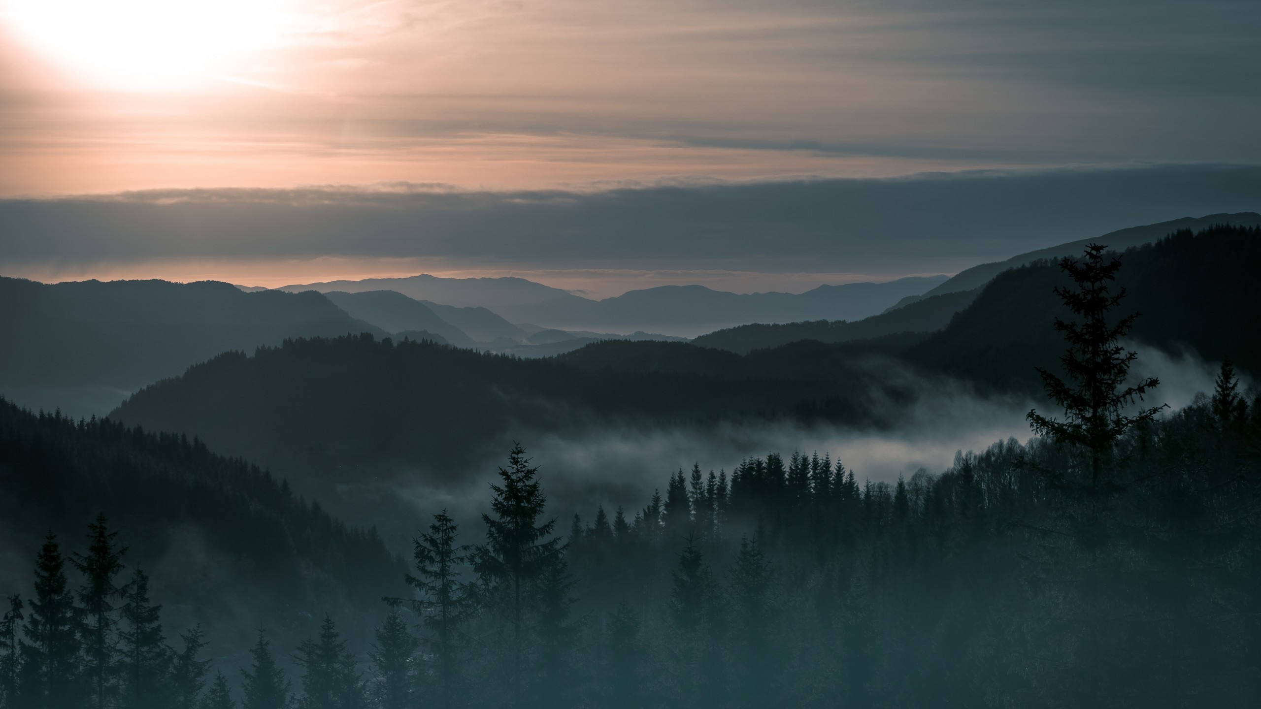 tumblr forest wallpaper,sky,mist,nature,atmospheric phenomenon,fog