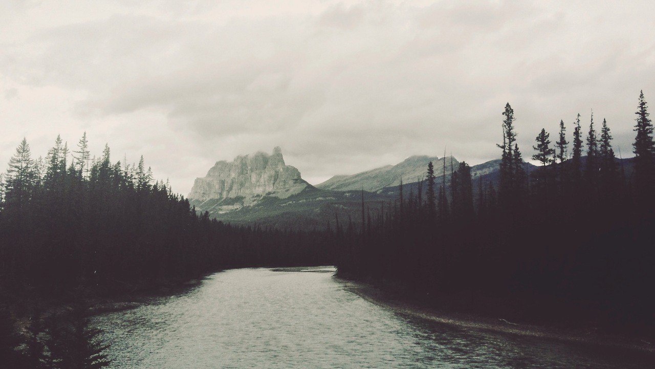 tumblr forest wallpaper,sky,nature,mountain,water,wilderness