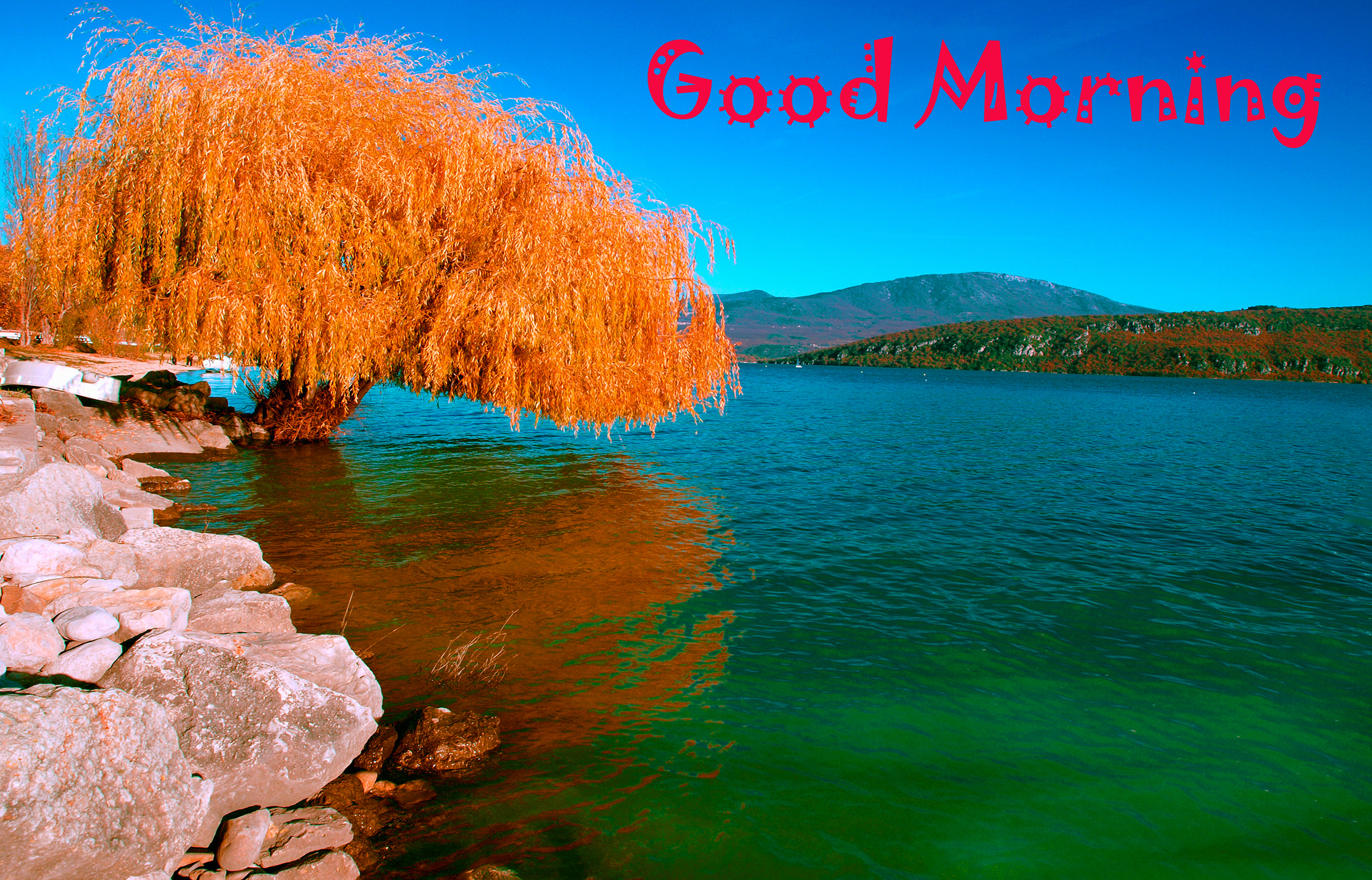 good morning nature wallpaper,natural landscape,nature,water,sky,shore