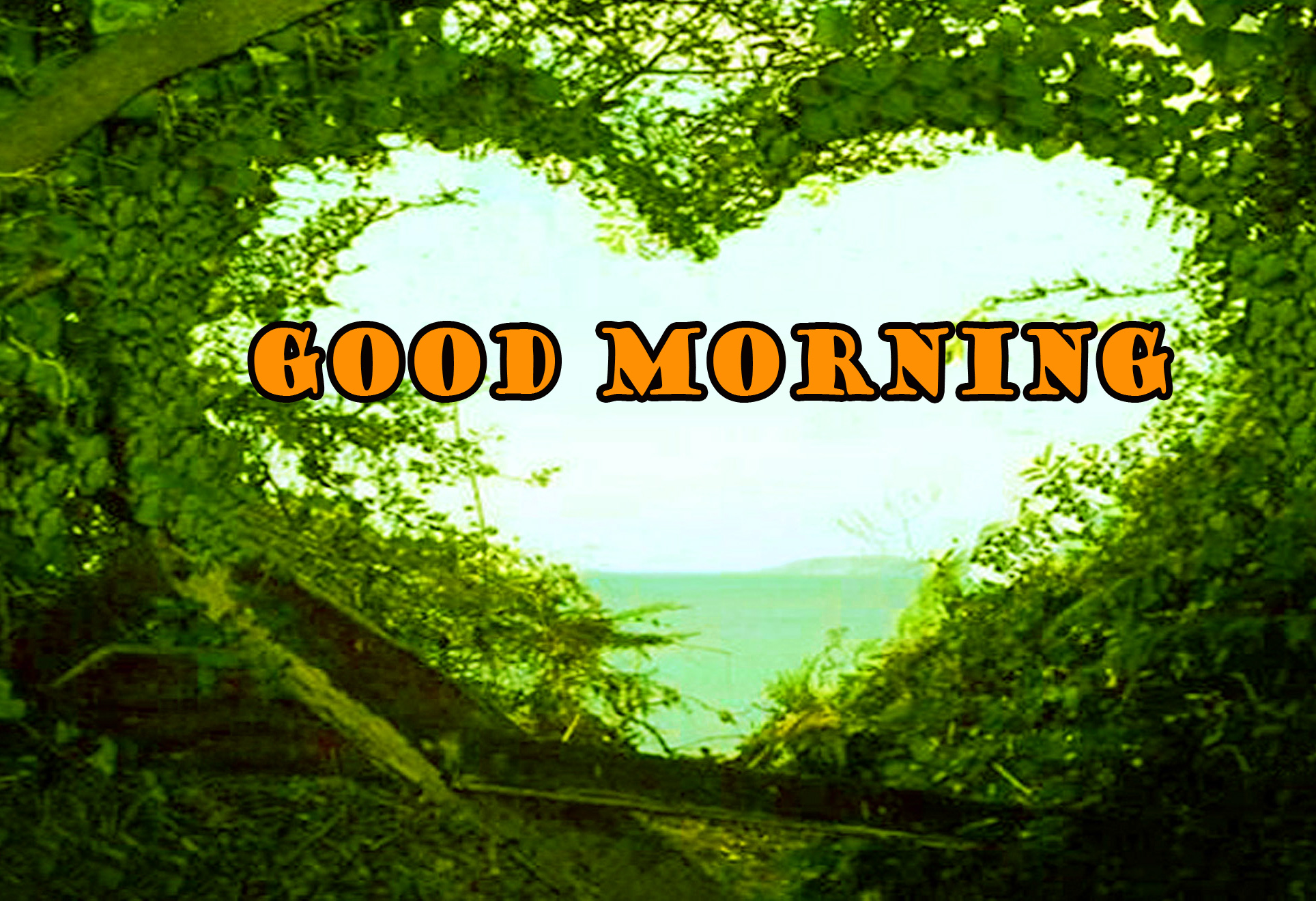 おはよう自然壁紙,自然の風景,自然,緑,密林,フォント