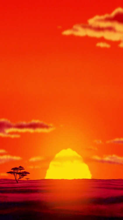壁紙tumblr背景,空,残照,朝の赤い空,日の出,地平線