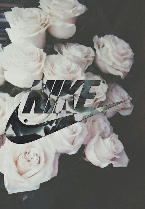 sfondi girly tumblr,bianca,rosa,fiore,tagliare i fiori,prodotto