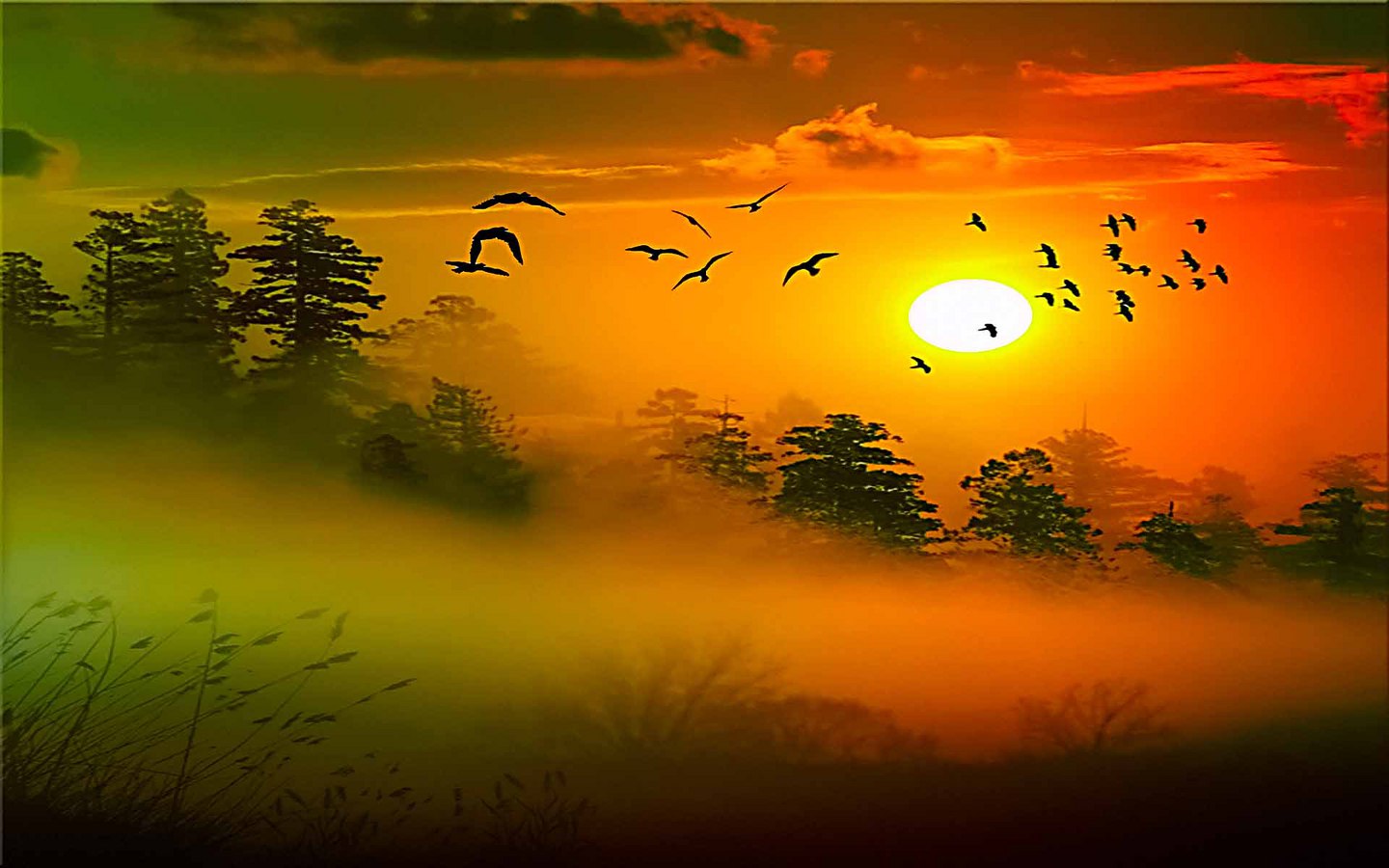 buenos días pájaros fondo de pantalla,cielo,paisaje natural,naturaleza,amanecer,mañana
