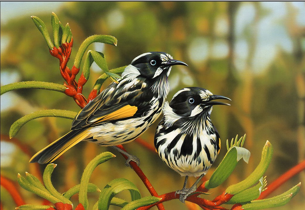 hermosos pájaros fondos de pantalla hd,pájaro,planta,fauna silvestre,pájaro posado