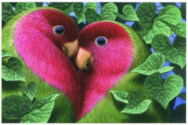 liebe vögel wallpaper kostenloser download,vogel,papagei,lovebird,pflanze,piciformes