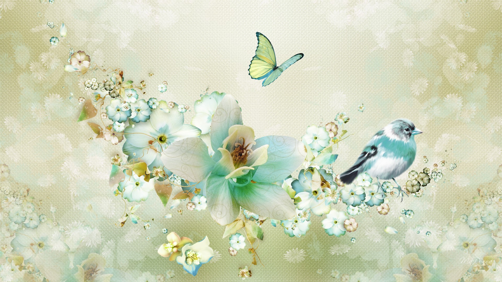 carta da parati farfalla uccello,la farfalla,pittura ad acquerello,uccello,sfondo,primavera