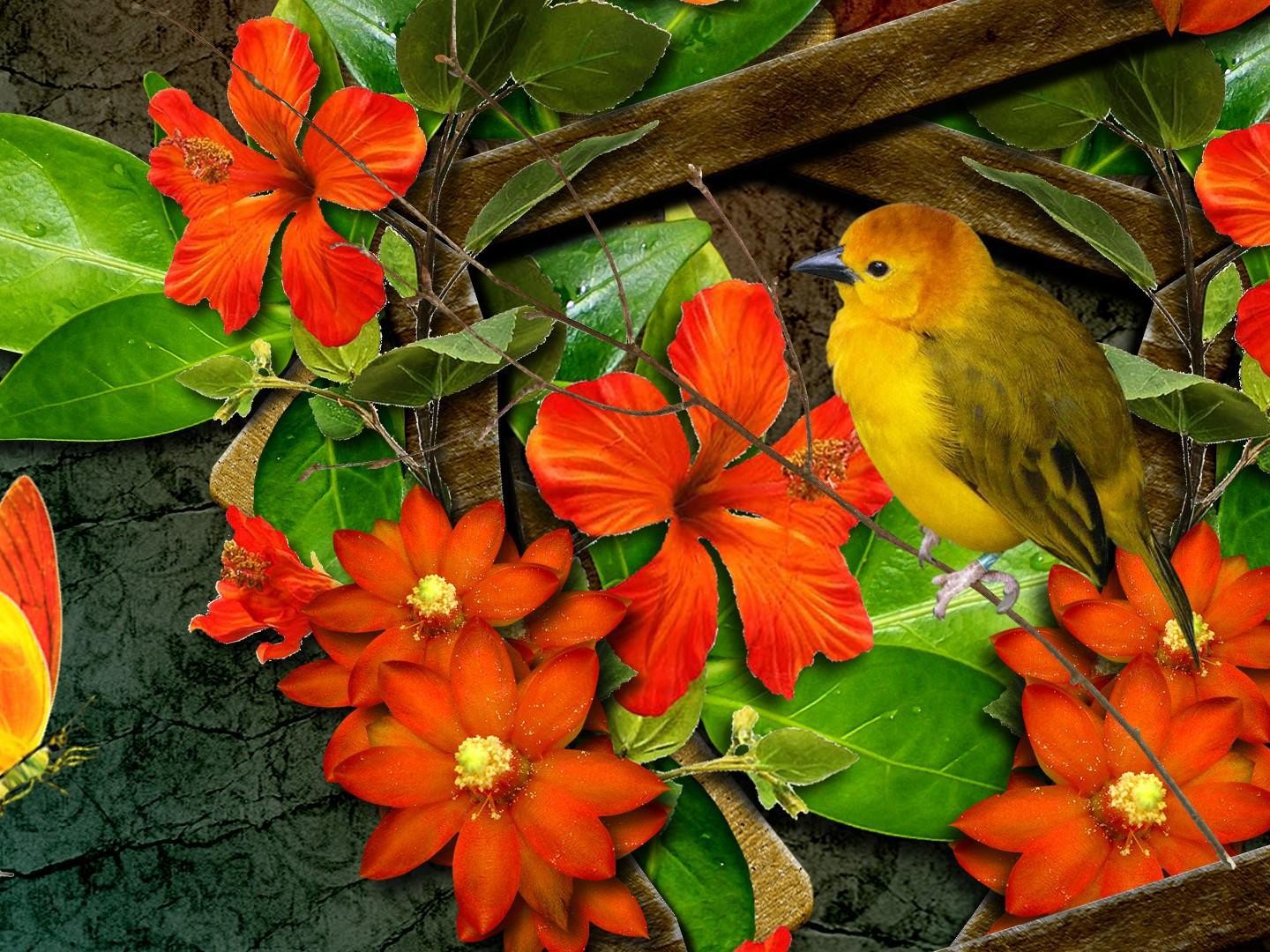 bird butterfly wallpaper,flower,orange,plant,bird,leaf