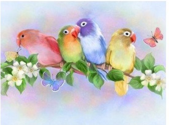 vogel schmetterling tapete,vogel,lovebird,papagei,aquarellfarbe,illustration