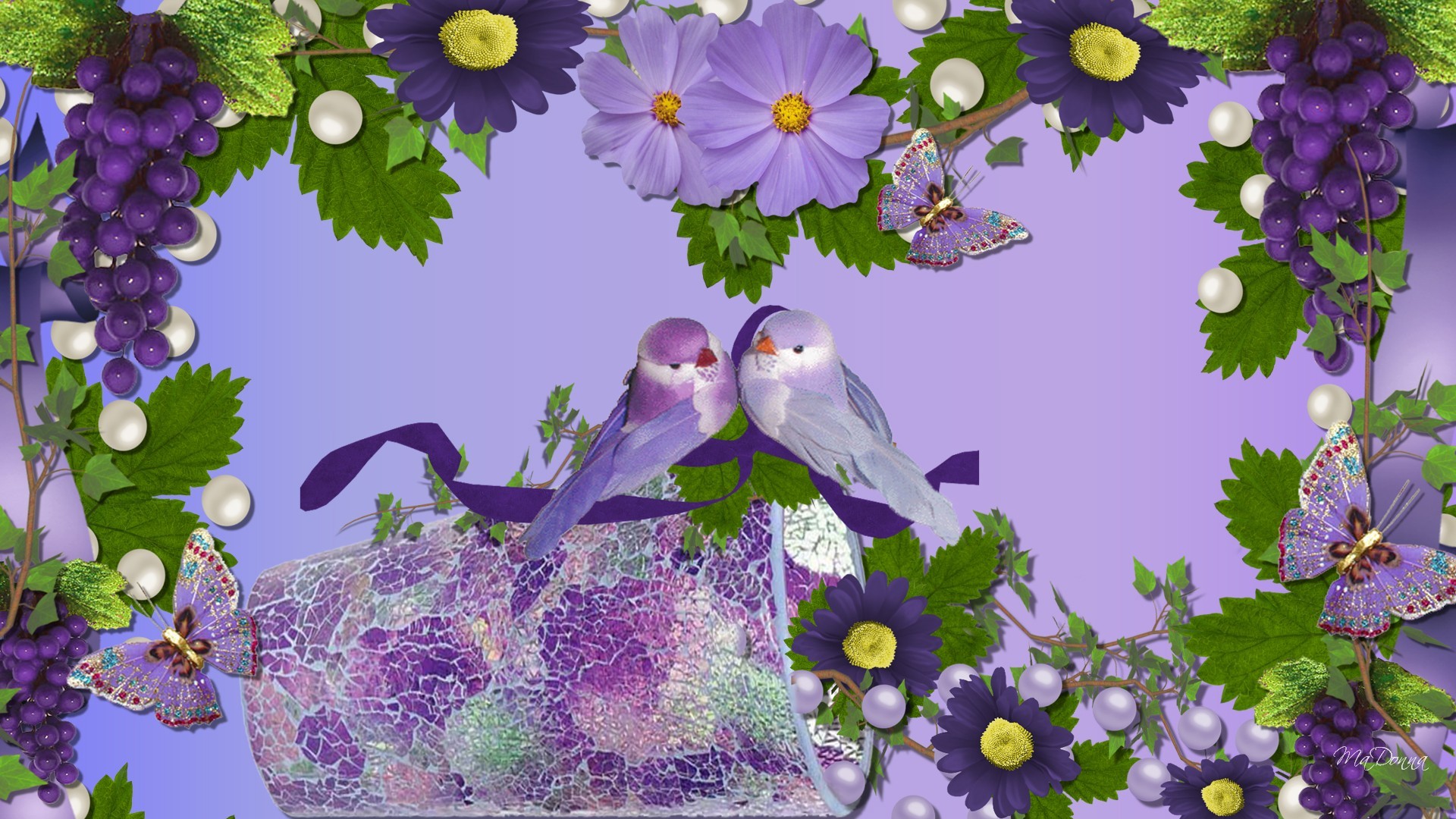 bird butterfly wallpaper,lavender,lilac,violet,purple,spring