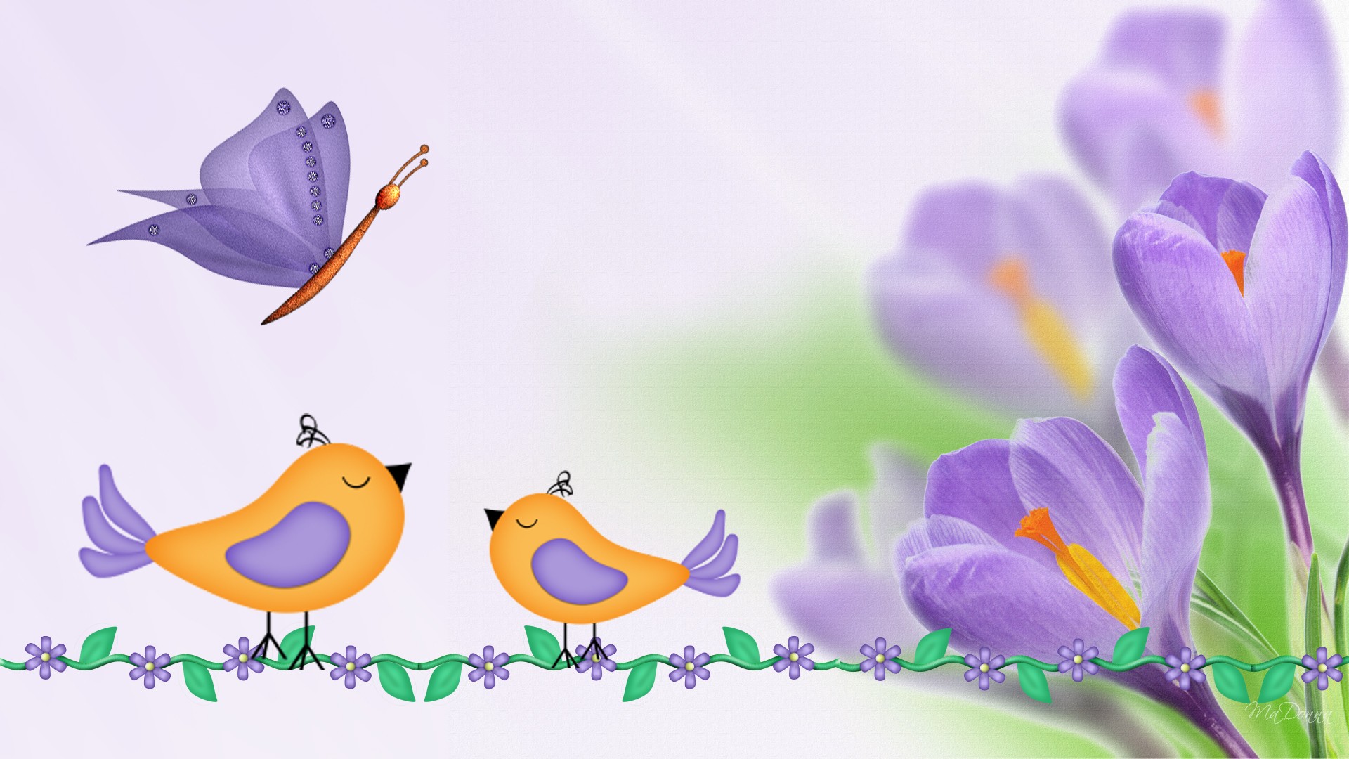 papier peint papillon oiseau,plante,crocus,fleur,printemps,oiseau bleu