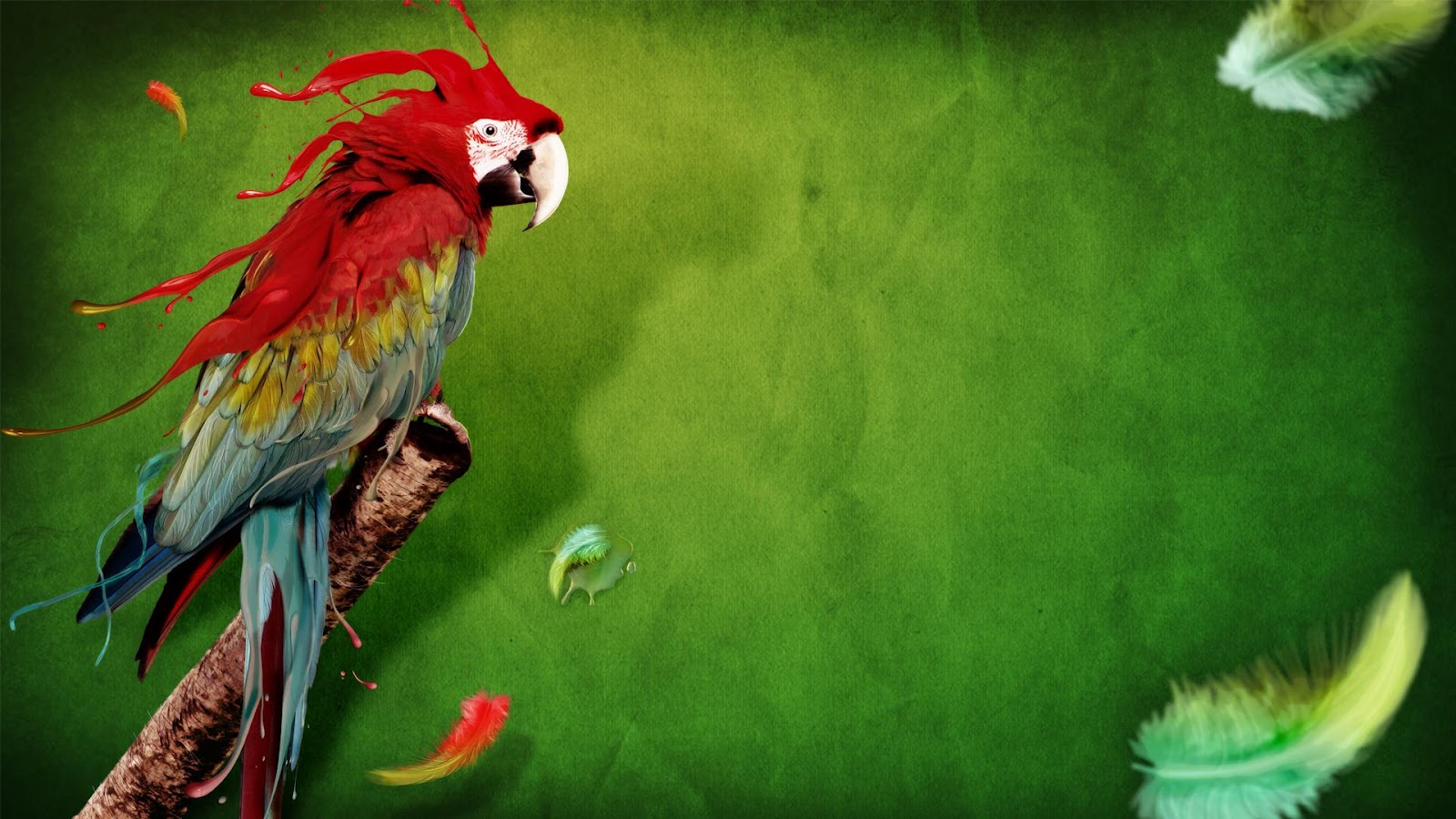 fond d'écran 3d perroquet,oiseau,perroquet,ara,vert,perruche