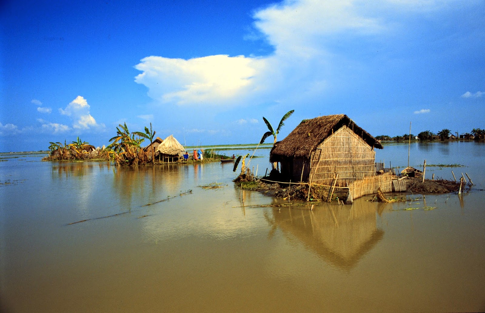 bangladesh wallpaper hd,sky,water,hut,tropics,house