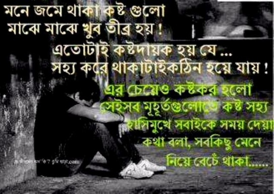 bengali love wallpaper download,text,font,photo caption,love,friendship