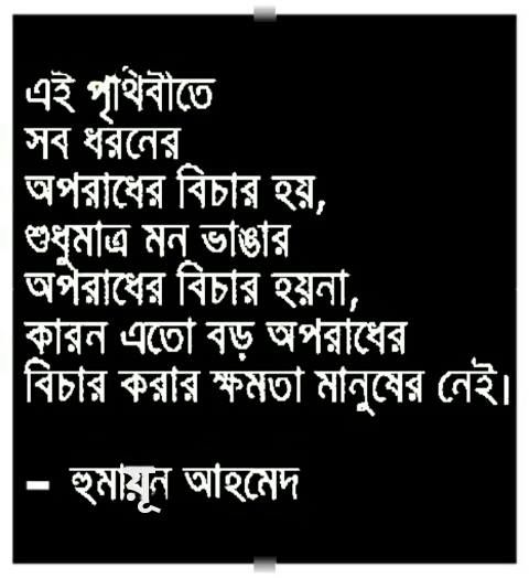 bengali sad poem wallpaper,text,font,rectangle,photography,photo caption