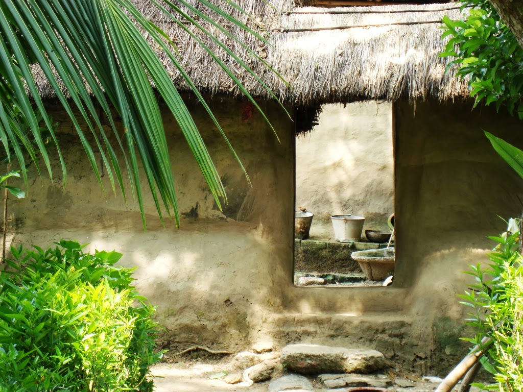 immagine di sfondo bangla,natura,paesaggio naturale,acqua,erba,paesaggio