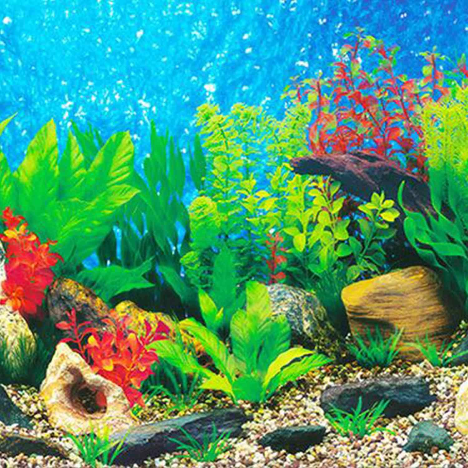 水槽の壁紙のhd 淡水水族館 水中 水族館 海洋生物学 魚 Wallpaperuse