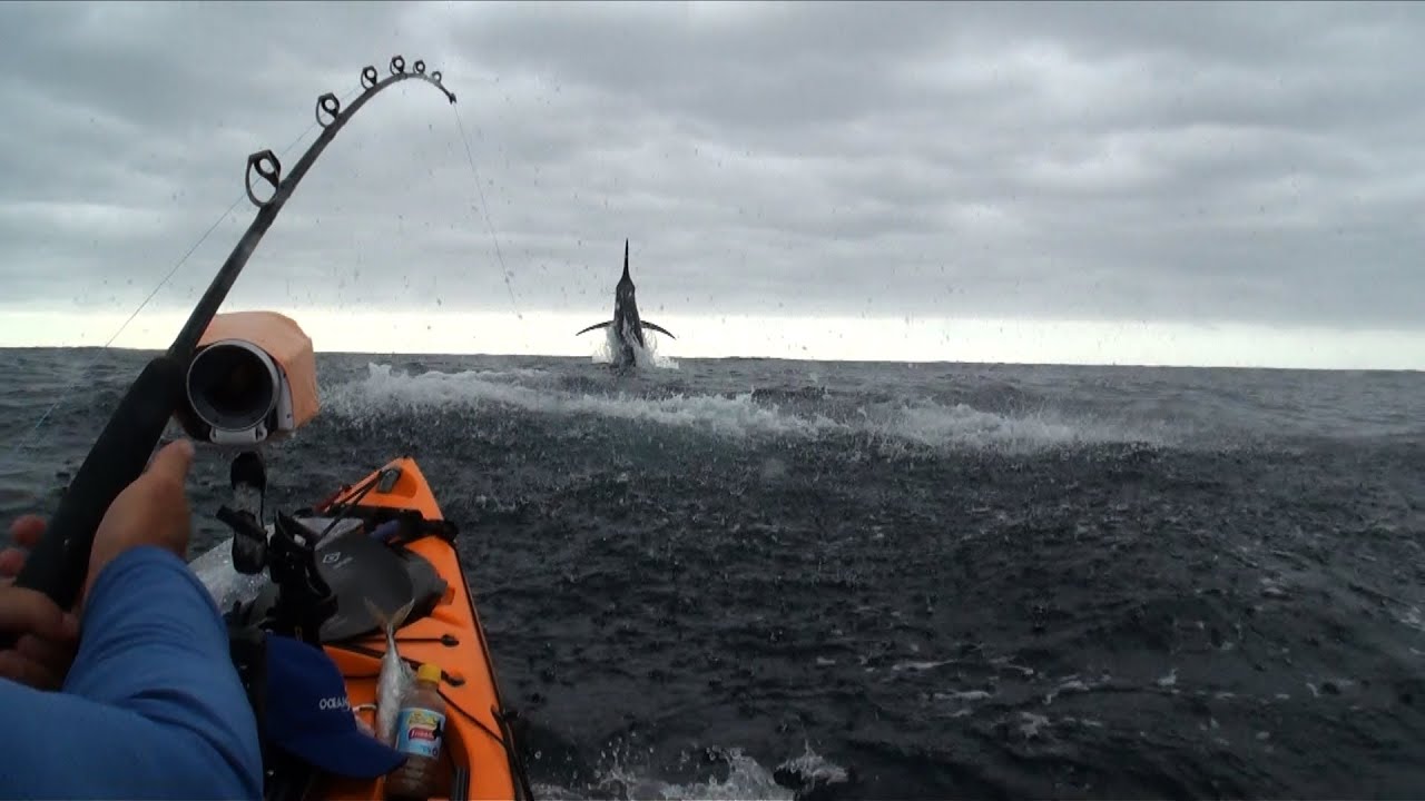 fondos de pantalla de pesca,pesca recreativa,vehículo,pescar,embarcación,barco