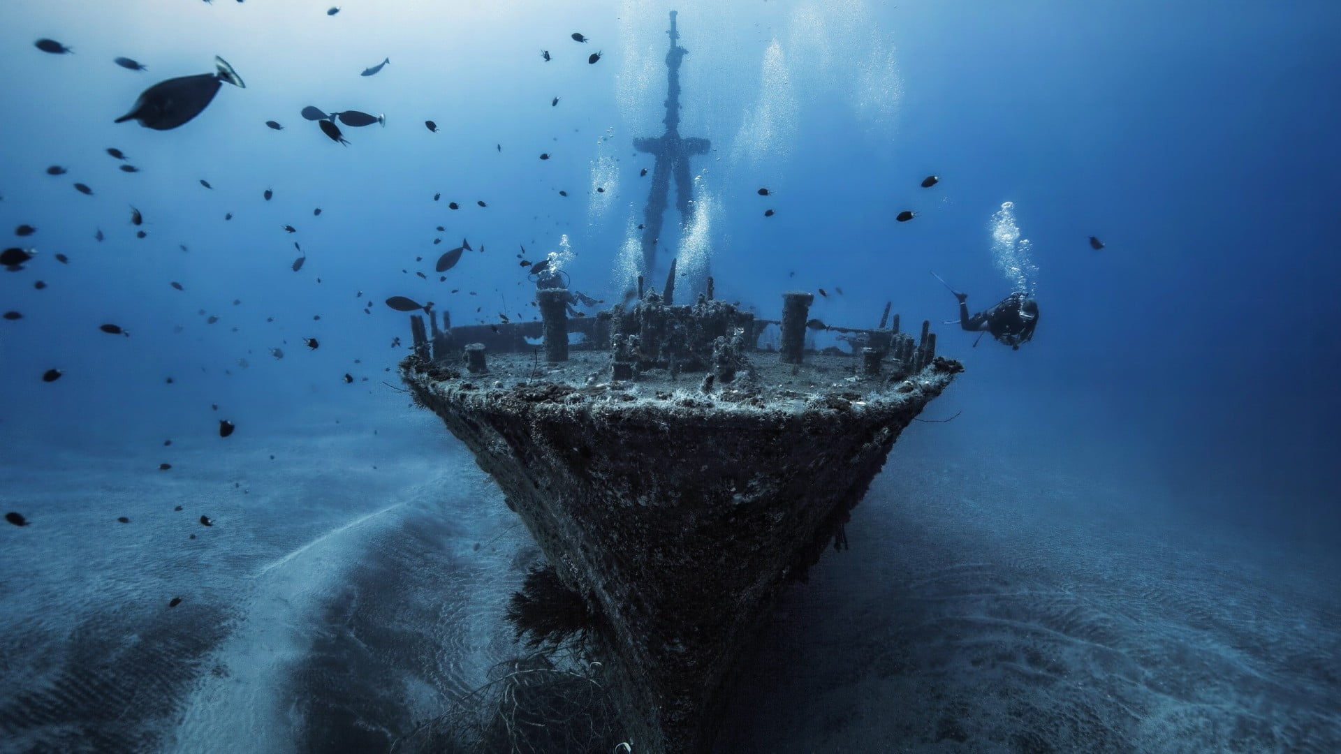 shipwreck wallpaper,water,ship,vehicle,shipwreck,underwater
