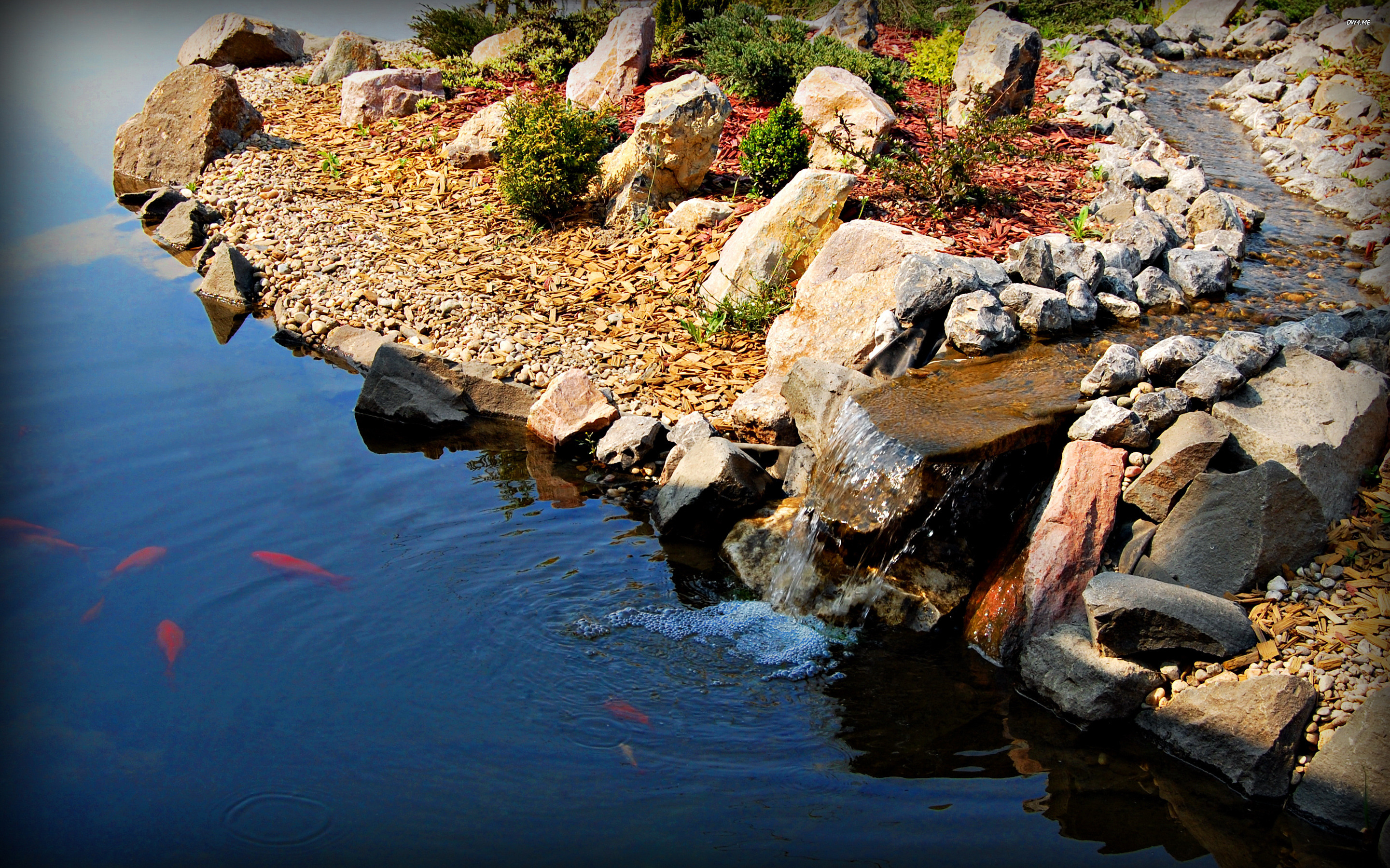 fish pond wallpaper,body of water,water,water resources,nature,rock