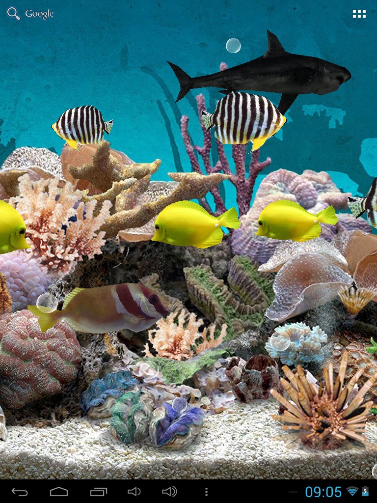 touch fish live wallpaper,marine biology,coral reef,coral reef fish,natural environment,fish
