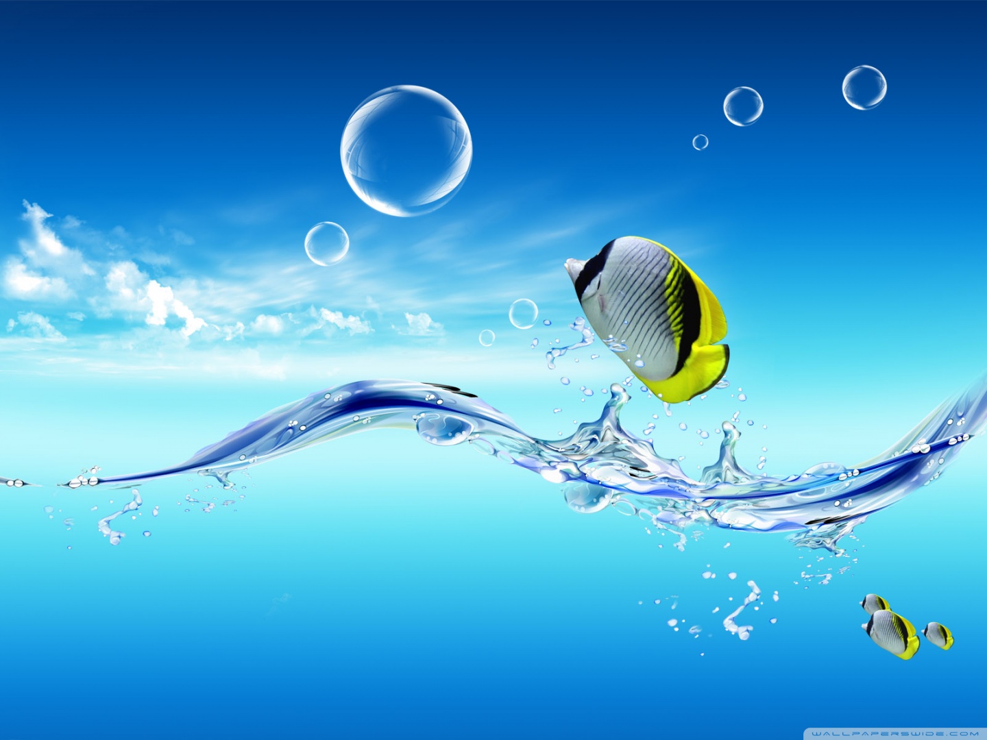 aquatic wallpaper,water,sky,liquid,atmosphere,illustration
