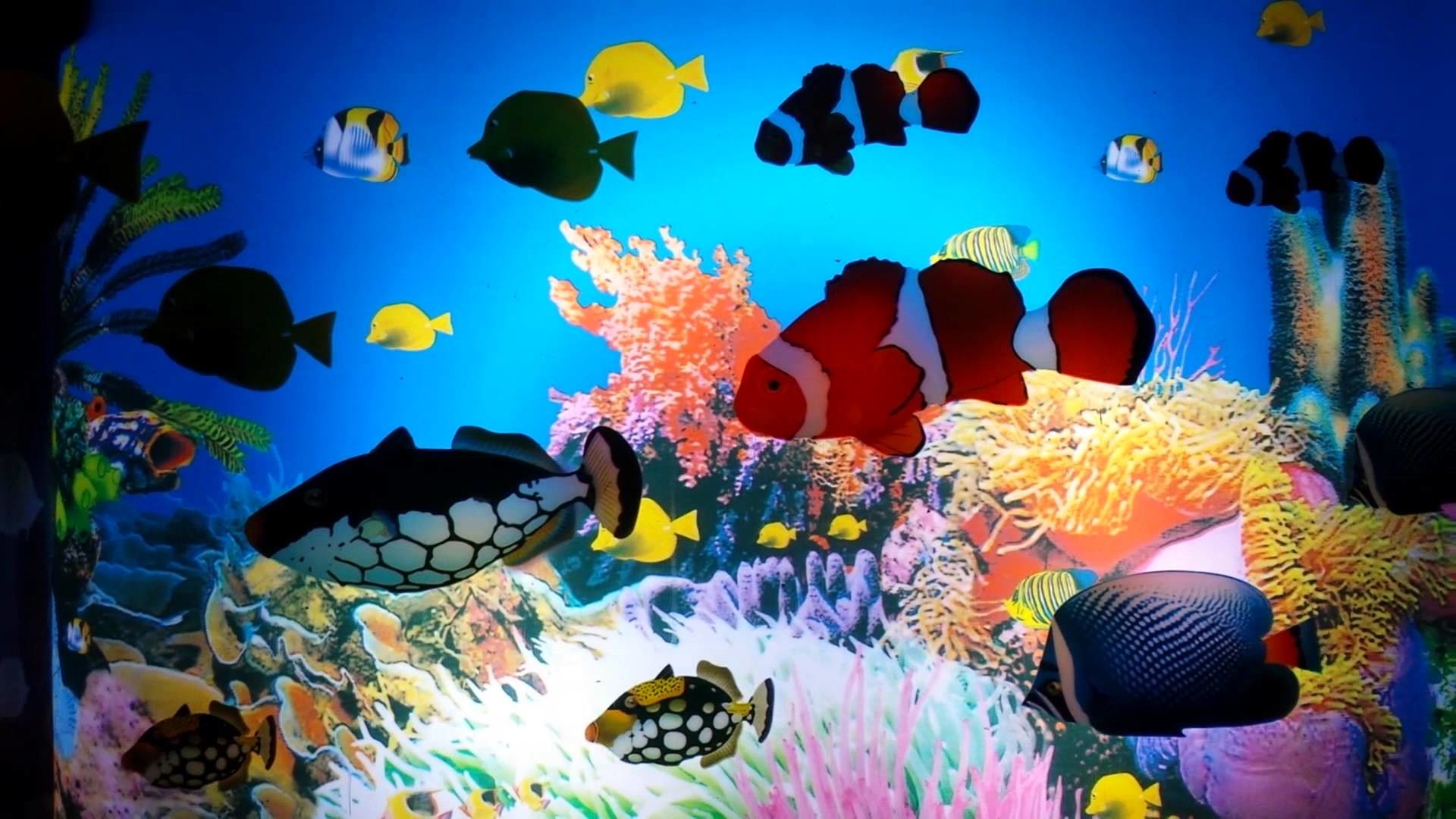fond d'écran aquarium en mouvement,biologie marine,récif de corail,sous marin,poissons de récifs coralliens,récif