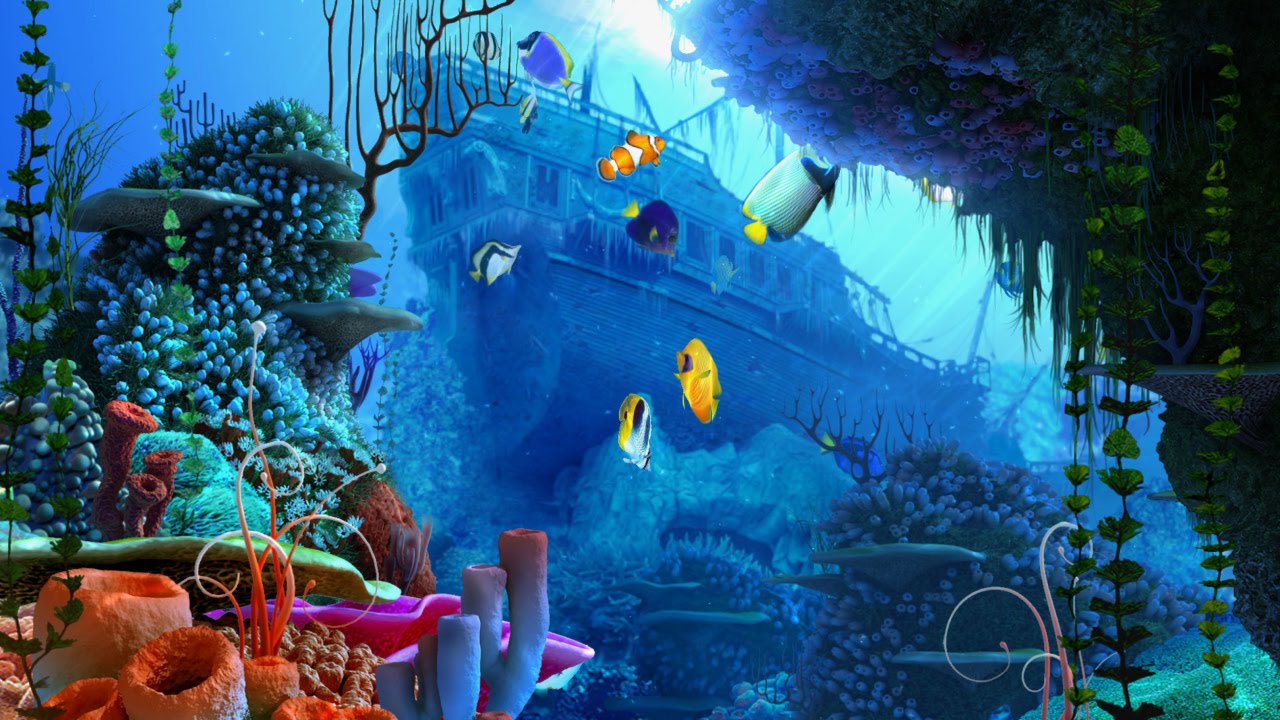 fond d'écran aquarium en mouvement,récif,bleu majorelle,biologie marine,récif de corail,poisson